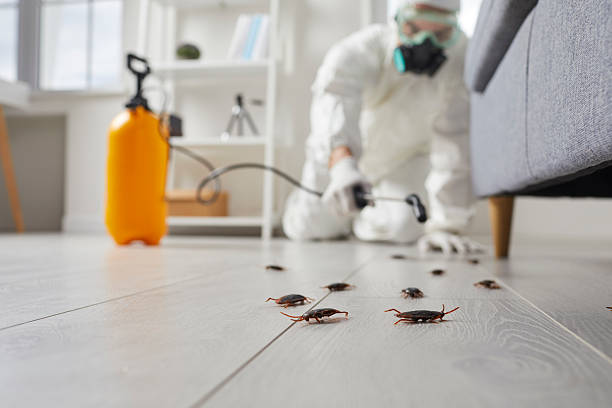 Trusted Cockroach Control service in Double Springs, AL - Nex Pest Control