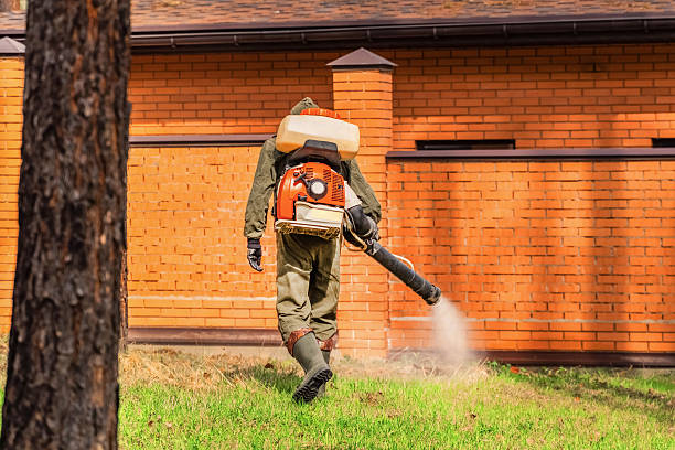 Trusted Bed Bug Control service in Double Springs, AL - Nex Pest Control